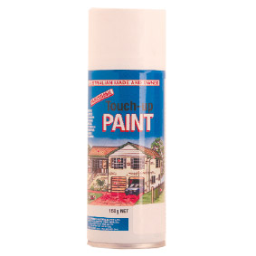 150g Touch up Spray Paint Can